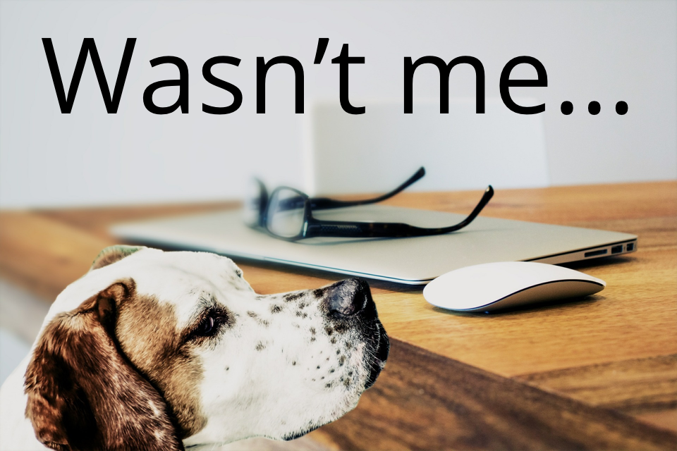 No more excuses: It's not the dog, it's that you don't text with customers using Message Mate